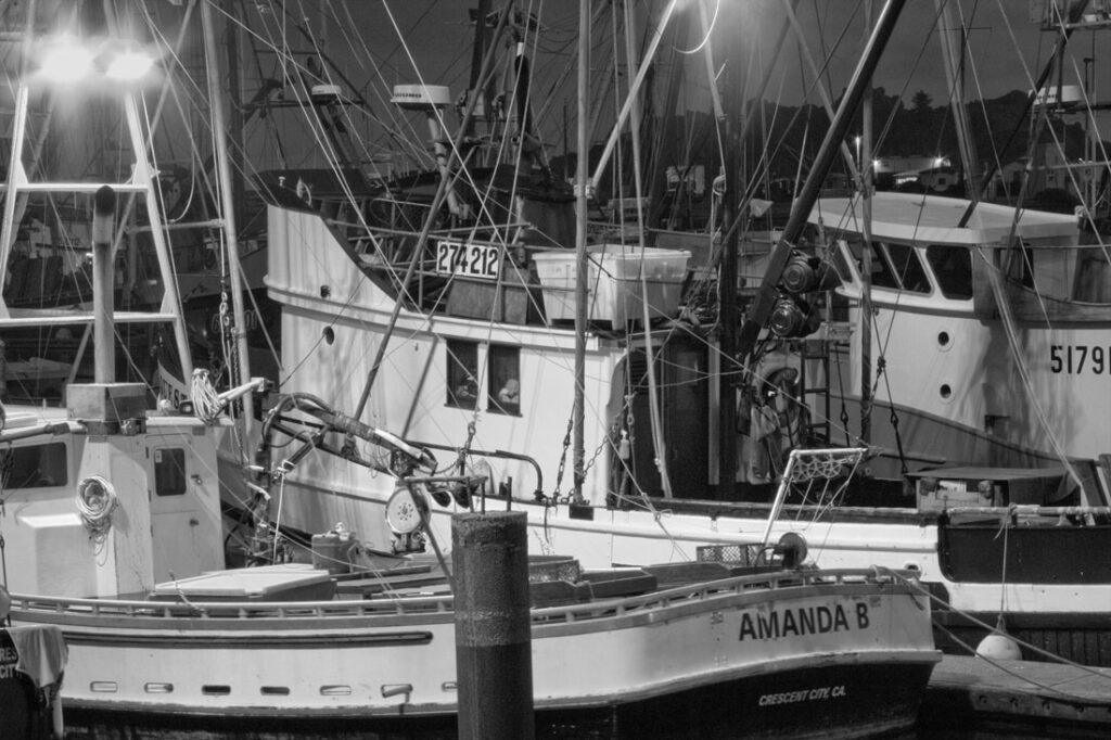 Crescent City Harbor Boats