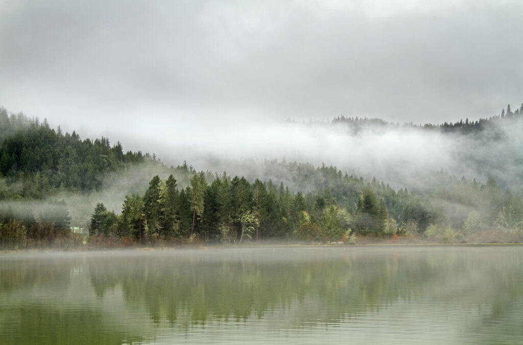 Mist Over Selmac Lake